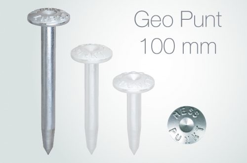 Imagen Clavo de señalización GEO PUNT