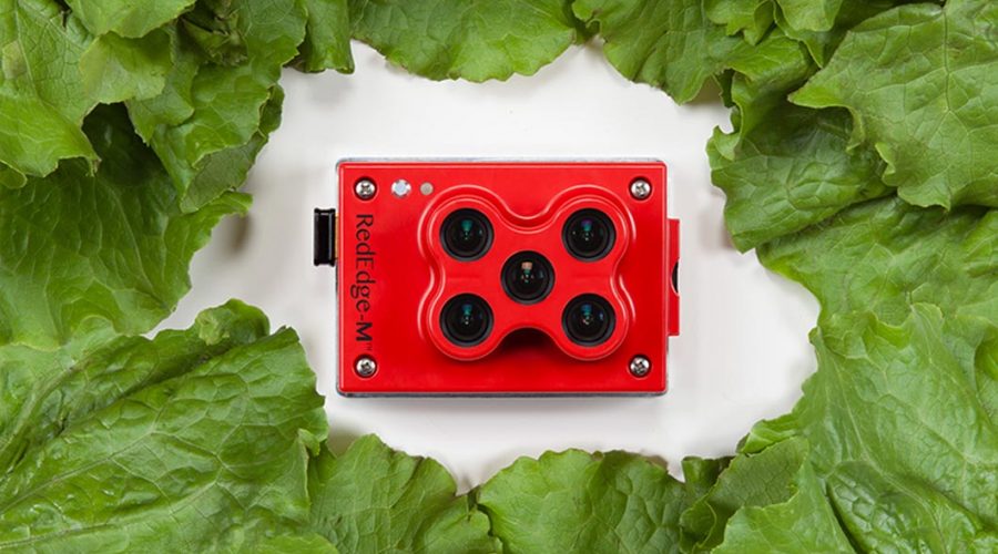 Video Matrice 210 para agricultura con cámara RGB Zenmuse X4S multiespectral RedEdge-M y Pix4DAg