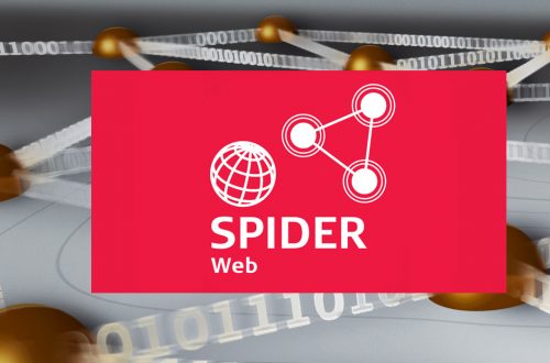 Imagen Aplicações Leica SpiderWeb