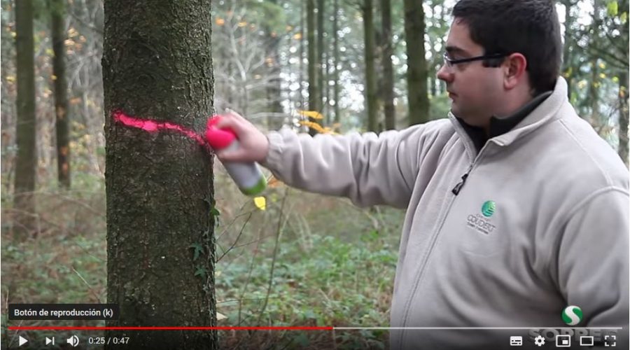 Video Spray de pintura forestal fluorescente FLUO MARKER SOPPEC