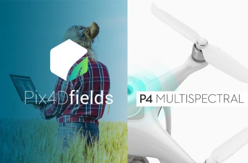 Imagen Pack de agricultura profissional: Phantom 4 Multiespectral + Pix4Dfields